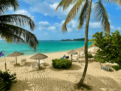 Top Places To Eat Dee Why Beach | The Turmeric Table